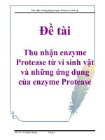 Tài liệu Đề tài: Thu nhận enzyme Protease từ vi sinh vật và những ứng dụng của enzyme Protease docx