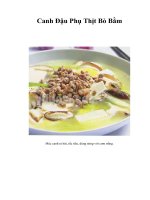 Tài liệu Canh Đậu Phụ Thịt Bò Bằm ppt