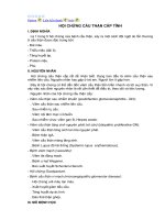 Gián án Hội chứng cầu thận cấp