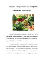 Tài liệu Cảnh báo nội trợ: Làm thế nào để nhận biết 5 loại rau hay phun hóa chất? doc