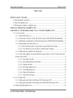 Nghiên cứu các yếu tố ảnh hưởng đến việc lựa chọn dịch vụ fast connect  truy cập internet qua cổng USB của sinh viên đại học huế cho công ty viễn thông VMS mobifone 