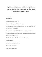 Tài liệu Cấp lại bản chính giấy khai sinh đã đăng ký tại các cơ quan đại diện Việt Nam ở nước ngoài mà sổ hộ tịch đã chuyển lưu tại tại Cục Lãnh sự pdf