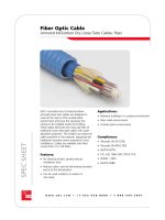 Tài liệu Fiber Optic Cable Armored In/Outdoor Dry Loose Tube Cables: Riser pptx