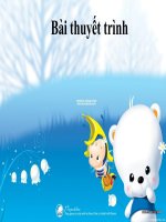 THUYẾT TRÌNH : Văn hóa chăm 