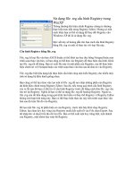 Tài liệu Sử dụng file .reg cấu hình Registry trong WinXP docx