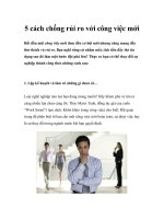 Tài liệu 5 cách chống rủi ro với công việc mới pptx