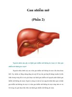 Tài liệu Gan nhiễm mỡ (Phần 2) pdf