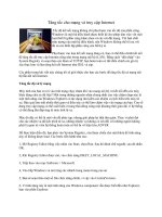 Tài liệu Tăng tốc cho mạng và truy cập Internet pdf