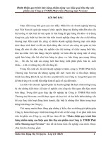 Hoàn thiện quy trình bán hàng nhằm nâng cao hiệu quả tiêu thụ sản phẩm của công ty TNHH phát triển thương mại newstar 