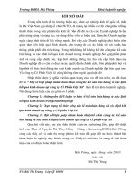 Một số biện pháp nhằm hoàn thiện công tác kế toán bán hàng và xác định kết quả kinh doanh tại công ty cổ phần việt xô 