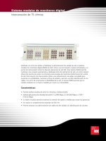 Tài liệu Sistema modular de monitoreo digital Interconexión de 75 ohmios pdf