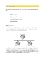 Tài liệu OSPF Network type doc