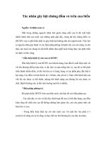 Tài liệu Tác nhân gây hội chứng đốm vỏ trên cua biển doc