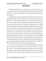 Phân tích và giải pháp nâng cao hiệu quả sản xuất kinh doanh của công ty TNHH sản xuất và thương mại nam hải 