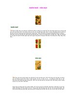 Bài giảng Ngôn ngữ - Văn hóa Việt