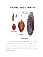 Tài liệu Sán máng - Nguy cơ cho trẻ em docx