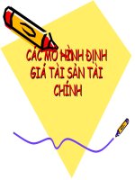 Tài liệu CÁC MÔ HÌNH ĐỊNH GIÁ TÀI SẢN TÀI CHÍNH doc