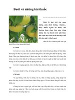 Tài liệu Bưởi và những bài thuốc pdf