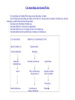 Tài liệu Các hoạt động của bộ mặt lễ tân. doc