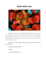 Tài liệu Bệnh thiếu máu pdf