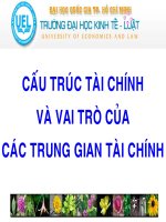 cấu trúc tài chính doanh nghiệp và vai trò của các trung gian tài chính 