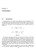 Tài liệu Chapter 5: Carbonylation pdf