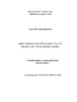 Hiện tượng chuyển nghĩa của từ trong các vùng phương ngữ 