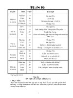 Bài soạn giao an tuan 10 moi( CKT)