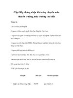 Tài liệu Cấp Giấy chứng nhận khả năng chuyên môn thuyền trưởng, máy trưởng tàu biển pdf