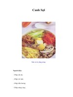 Tài liệu Canh Sợi pdf