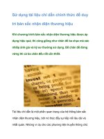 Tài liệu Sử dụng tài liệu chỉ dẫn chính thức để duy trì bản sắc nhận diện thương hiệu docx