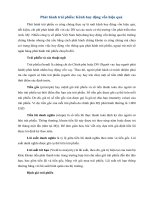 Tài liệu Phát hành trái phiếu: Kênh huy động vốn hiệu quả pdf