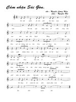 Tài liệu Bài hát cảm nhận Sài Gòn - Nguyễn Hải (lời bài hát có nốt) ppt