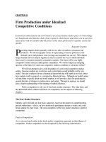 Chapter 11 idelaized competition 