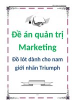 Tài liệu Đề án quản trị Marketing: Đồ lót dành cho nam giới nhãn triumph doc