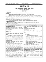 Gián án GA Lop 3 tuan 25