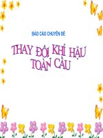 Tài liệu Báo cáo chuyên đề 