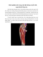 Tài liệu Kinh nghiệm nhỏ trong việc đặt đường truyền tĩnh mạch đùi để cấp cứu pptx