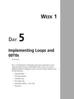 Tài liệu Teach Yourself PL/SQL in 21 Days- P4 pptx