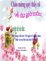 Bài soạn luyen tu va cau tuan 21