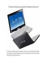 Tài liệu Nên chọn Netbook hay laptop siêu di động cho công việc? doc