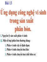Ứng dụng công nghệ vi sinh trong sản xuất phân bón