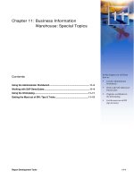 Tài liệu Chapter 11: Business Information Warehouse: Special Topics ppt