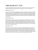 Gián án TUẦN CỦA BẠN (17-23/1/2011)