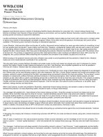 Tài liệu MINERAL MARKET NEWCOMERS GROWING- Michelle Edgar pptx