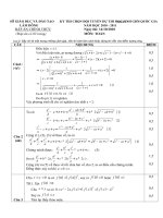 Gián án Đáp án hs giỏi toán 12 tt