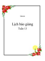 Tài liệu Gíao án tuần 13 pptx
