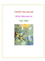 Tài liệu Chủ Đề: Chào năm mới - Đề tài: Mùa xuân vui Lớp : Mầm docx
