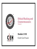 CEHv6 module 58 credit card frauds 