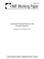 Tài liệu IMF Working Paper_ Corporate Financial Structure and Financial Stability pptx